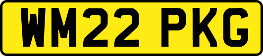 WM22PKG