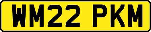 WM22PKM