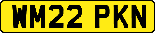 WM22PKN