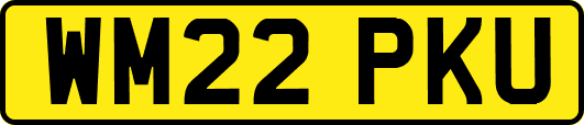 WM22PKU