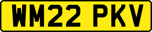 WM22PKV