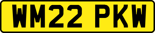 WM22PKW