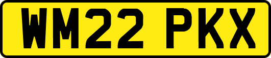 WM22PKX