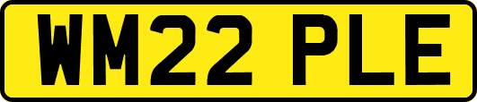 WM22PLE