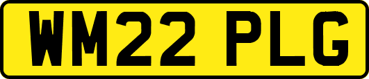 WM22PLG