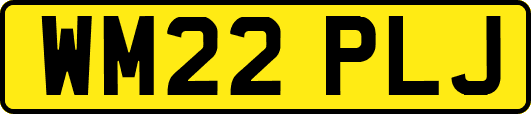 WM22PLJ