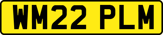 WM22PLM