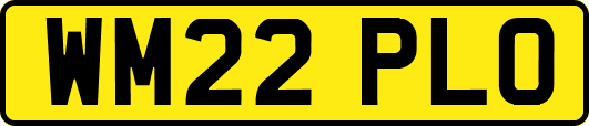 WM22PLO