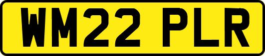 WM22PLR