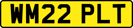 WM22PLT