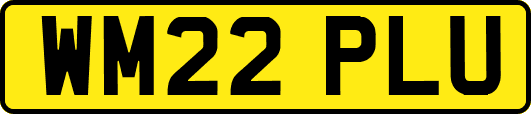 WM22PLU