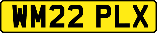 WM22PLX