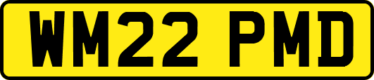 WM22PMD