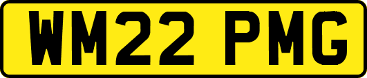 WM22PMG