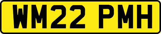 WM22PMH
