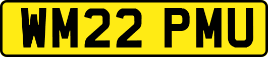 WM22PMU