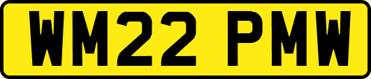 WM22PMW