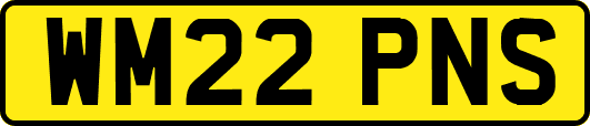 WM22PNS