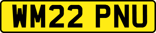 WM22PNU