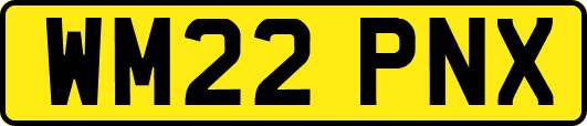 WM22PNX
