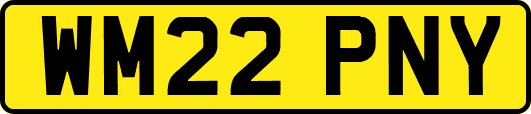 WM22PNY