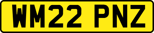 WM22PNZ