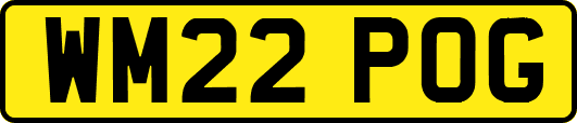 WM22POG