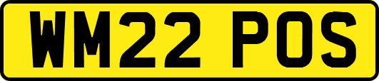 WM22POS
