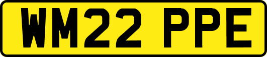 WM22PPE