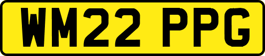 WM22PPG
