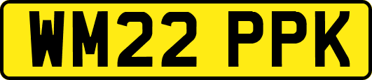 WM22PPK