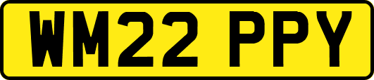 WM22PPY