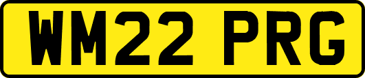WM22PRG