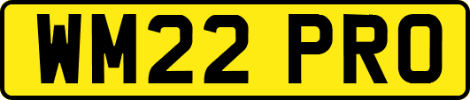 WM22PRO