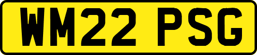 WM22PSG