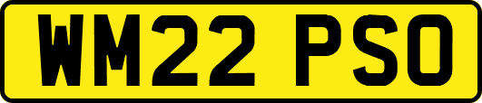 WM22PSO