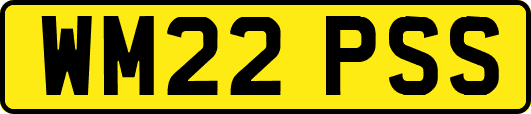 WM22PSS