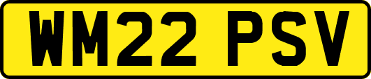 WM22PSV