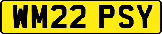 WM22PSY