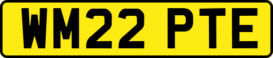 WM22PTE