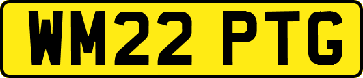 WM22PTG