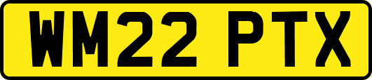 WM22PTX