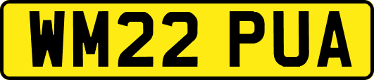 WM22PUA