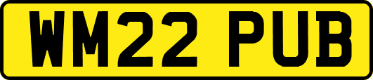 WM22PUB