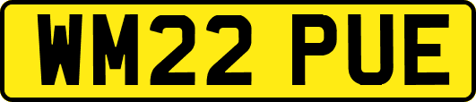 WM22PUE