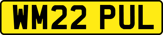 WM22PUL