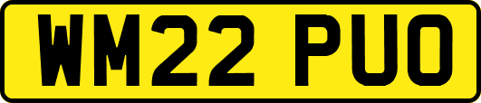 WM22PUO