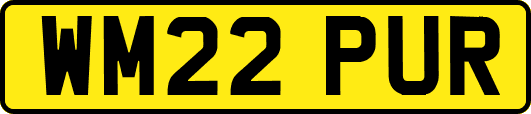 WM22PUR