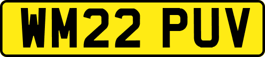 WM22PUV