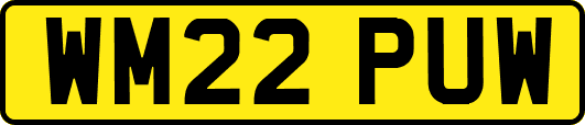 WM22PUW